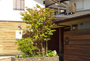 どこか懐かしい日本家屋の雰囲気漂う 「数寄屋風造り」の医院です